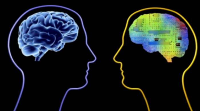 Eight questions and eight answers to understand the internal workings of Transfo