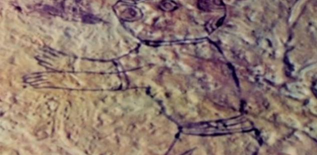 000-Year-Old "Airplane Rock Art" Found in Hidden Cave: Proof of Alien Civilization? The Truth Revealed!