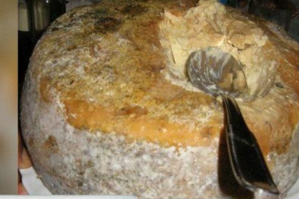 Breaking: The Top 10 Grossest Foods on Earth – Why Do People Actually Eat These? 